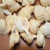 HomeLoft Basics 50pc DISTORSIO RETICULATA/Craft Supplies/Beach Wedding Accent Seashells/Wreath Supply/Jewelry Crafts/Jar Stuffers/Picture Framing Shells/SS-24 view 3