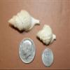 HomeLoft Basics 50pc DISTORSIO RETICULATA/Craft Supplies/Beach Wedding Accent Seashells/Wreath Supply/Jewelry Crafts/Jar Stuffers/Picture Framing Shells/SS-24 view 4