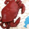 SUPVOX Nautical Crab Wall Art Pendant Ocean-themed Decorative Hanging Decor for Bathroom Living Room Garden Small and Home Decoration view 3