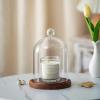 12 * 16cm Big Size Antique Base Different Top Glass Dome Vase Home Decoration Transparent Candle Cover Wedding Friend Favor Gift (1set Bird Dome Base) view 2