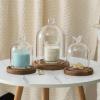 12 * 16cm Big Size Antique Base Different Top Glass Dome Vase Home Decoration Transparent Candle Cover Wedding Friend Favor Gift (1set Bird Dome Base) view 3