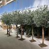 Artificial Olive Tree, Tall Fake Olive Tree Plant, Faux Potted Olive Silk TreeTrees for Modern Home Office Living Room Floor Decor Indoor (Size : 250cm) view 1