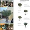 Artificial Olive Tree, Tall Fake Olive Tree Plant, Faux Potted Olive Silk TreeTrees for Modern Home Office Living Room Floor Decor Indoor (Size : 250cm) view 2