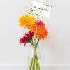 Abeillo 20Pcs Gold Floral Card Holder Picks, Metal Flower Card Holder Stick, Round Shape Table Name Number Clips, Place Card Holder for Gift Card Photo Memo Bouquet Decorations view 4