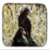 Caroline's Treasures Crows Matt and Chester Dish Drying Mat Absorbent Dish Drying Mat Pad for Kitchen Counter Dish Drainer Mat for Countertop, 14 x 21", Multicolor view 1
