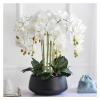 JDXQBLD Artificial Potted Plants Phalaenopsis Fake Flowers Artificial Plant Flowers Fade-Free Realistic Home Hotel Decoration (Pink White) Potted Decor view 1