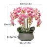JDXQBLD Artificial Potted Plants Phalaenopsis Fake Flowers Artificial Plant Flowers Fade-Free Realistic Home Hotel Decoration (Pink White) Potted Decor view 2