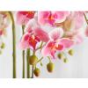 JDXQBLD Artificial Potted Plants Phalaenopsis Fake Flowers Artificial Plant Flowers Fade-Free Realistic Home Hotel Decoration (Pink White) Potted Decor view 3