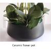 JDXQBLD Artificial Potted Plants Phalaenopsis Fake Flowers Artificial Plant Flowers Fade-Free Realistic Home Hotel Decoration (Pink White) Potted Decor view 4