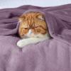 Bedsure GentleSoft Fleece Bed Blankets Queen Size Fog Purple - Soft Lightweight Plush Fuzzy Cozy Luxury Blanket Microfiber, 90x90 inches view 3