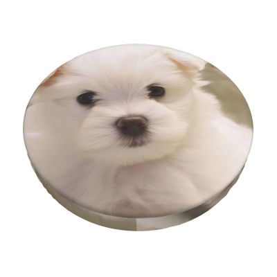 ZLYYXY Cute Maltese Puppy Bar Stool Cover Round Seat Cushion Pattern Round Stool Cover with Elastic Washable Stool Cover