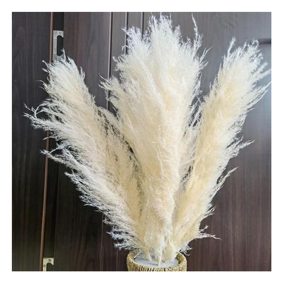 ECYC Ltd 3 Pcs Tall Dried Pampas Grass for Floor Vase, 31 inch Natural Dried Pampas Grass Bouquet Fluffy Large Pampas Grass Dried Plants Pampas Flowers for Home, Farmhouse, Wedding, Party Decor