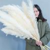 ECYC Ltd 3 Pcs Tall Dried Pampas Grass for Floor Vase, 31 inch Natural Dried Pampas Grass Bouquet Fluffy Large Pampas Grass Dried Plants Pampas Flowers for Home, Farmhouse, Wedding, Party Decor view 2