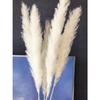ECYC Ltd 3 Pcs Tall Dried Pampas Grass for Floor Vase, 31 inch Natural Dried Pampas Grass Bouquet Fluffy Large Pampas Grass Dried Plants Pampas Flowers for Home, Farmhouse, Wedding, Party Decor view 3