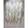 ECYC Ltd 3 Pcs Tall Dried Pampas Grass for Floor Vase, 31 inch Natural Dried Pampas Grass Bouquet Fluffy Large Pampas Grass Dried Plants Pampas Flowers for Home, Farmhouse, Wedding, Party Decor view 4