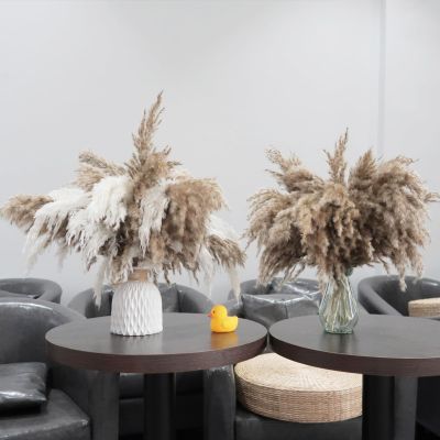 30 Stems Fluffy Pampas Grass - Natural Dried Pampas, Brown & White Pompas Grass, Dry Small Pampas Bulk for Living Room Table Decor, Boho Decor,Party Wedding Decor, Gift(17.7 inch, 20 Brown & 10White)