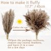 30 Stems Fluffy Pampas Grass - Natural Dried Pampas, Brown & White Pompas Grass, Dry Small Pampas Bulk for Living Room Table Decor, Boho Decor,Party Wedding Decor, Gift(17.7 inch, 20 Brown & 10White) view 2