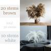 30 Stems Fluffy Pampas Grass - Natural Dried Pampas, Brown & White Pompas Grass, Dry Small Pampas Bulk for Living Room Table Decor, Boho Decor,Party Wedding Decor, Gift(17.7 inch, 20 Brown & 10White) view 3