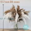 30 Stems Fluffy Pampas Grass - Natural Dried Pampas, Brown & White Pompas Grass, Dry Small Pampas Bulk for Living Room Table Decor, Boho Decor,Party Wedding Decor, Gift(17.7 inch, 20 Brown & 10White) view 4