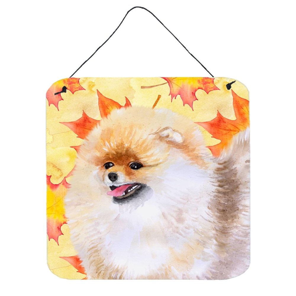 Pomeranian Fall Wall or Door Hanging Prints, 6 x 6 in.