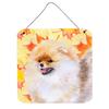 Pomeranian Fall Wall or Door Hanging Prints, 6 x 6 in. view 1