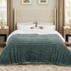 Bedsure Sherpa Blanket Queen Size for Bed - Super Soft, Cozy Fleece Thick Warm Blanket for Winter Christmas, GentleSoft Home Room Decor, Dark Green, 90x90 Inches view 1