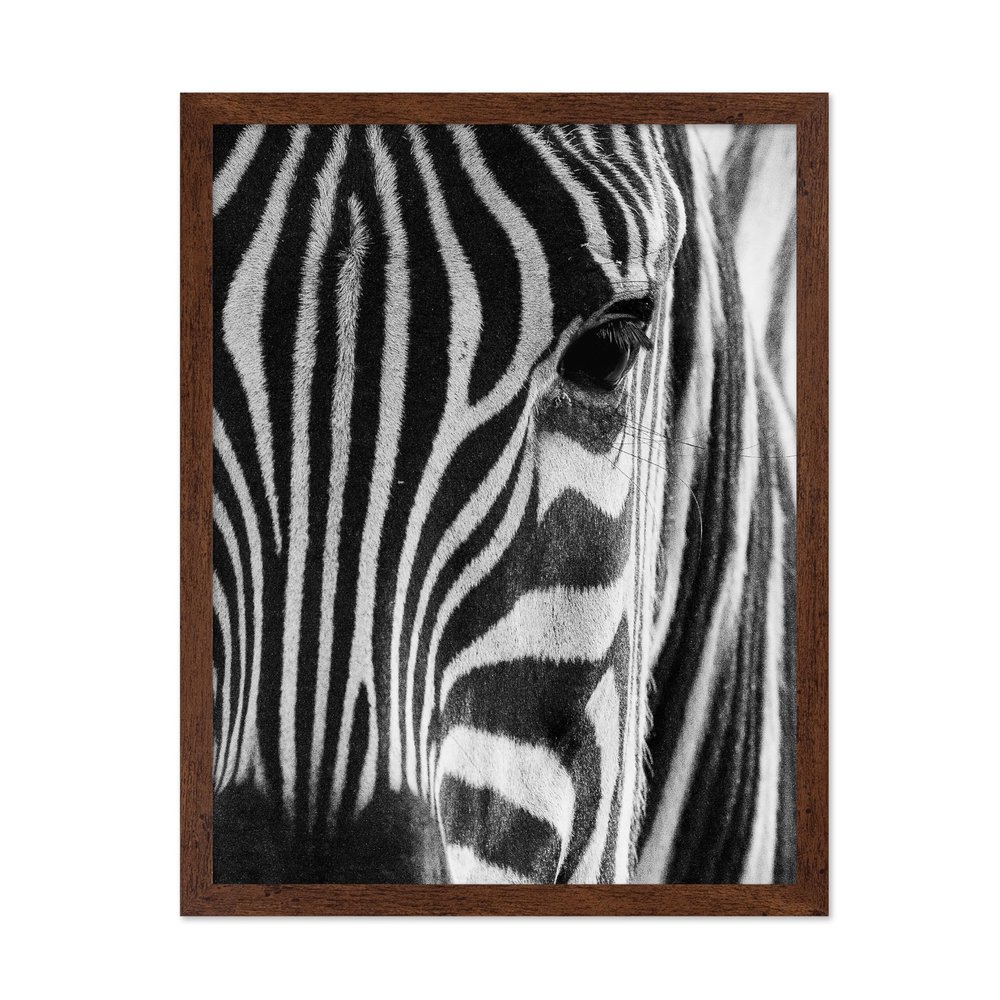 Poster Master Photograph Poster - Retro Animal Print - Striped Zebra, Face Close Up, Safari, Wildlife, Black and White - Gift for Kids, Friend - Wall Decor for Home, Office, 16x20 Brown Framed