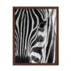Poster Master Photograph Poster - Retro Animal Print - Striped Zebra, Face Close Up, Safari, Wildlife, Black and White - Gift for Kids, Friend - Wall Decor for Home, Office, 16x20 Brown Framed view 1