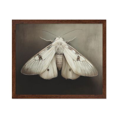 Poster Master Vintage Insect Poster - Retro Minimalist Print - Gift for Artist, Friend - Moth, Butterfly, Insect, Simple, Plain, Wings - Wall Decor for Living Room, School, 16x20 Brown Framed