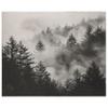4 x 6 ft Area Rugs for Living Room, Washable Non-Slip Grey Rug, Low-Pile Misty Forest Print Carpet for Bedroom Dinning Room Entrance Farmhouse Indoor Home Decor view 4