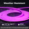 Shine Decor LED Rope Lights 120V, ETL Safe, Connectable, Purple, 50FT view 4