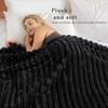 Exclusivo Mezcla Twin Size Flannel Fleece Blanket, Super Soft Striped Jacquard Bed Blanket, Lightweight Fuzzy Cozy for All Seasons, 60x80 Inches, Black view 2