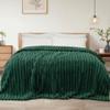 Exclusivo Mezcla Twin Size Flannel Fleece Blanket, Super Soft Striped Jacquard Bed Blanket, Lightweight Fuzzy Cozy for All Seasons, 60x80 Inches, Forest Green view 1