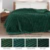 Exclusivo Mezcla Twin Size Flannel Fleece Blanket, Super Soft Striped Jacquard Bed Blanket, Lightweight Fuzzy Cozy for All Seasons, 60x80 Inches, Forest Green view 3