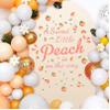Baby Shower Party Sign Decal Sweet Peach Balloon Arch Backdrop Decals Gender Reveal Stickers Baby Shower Arch Party Decor Fruit Theme Newborn Girl First Birthday Party Supplies Decorations view 3