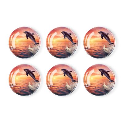 6 Pieces Fridge Magnets Refrigerator Glass Decorative Crystal Magnets for Kitchen Office Whiteboard,Beautiful Dolphin Sunset Ocean Sea Picture