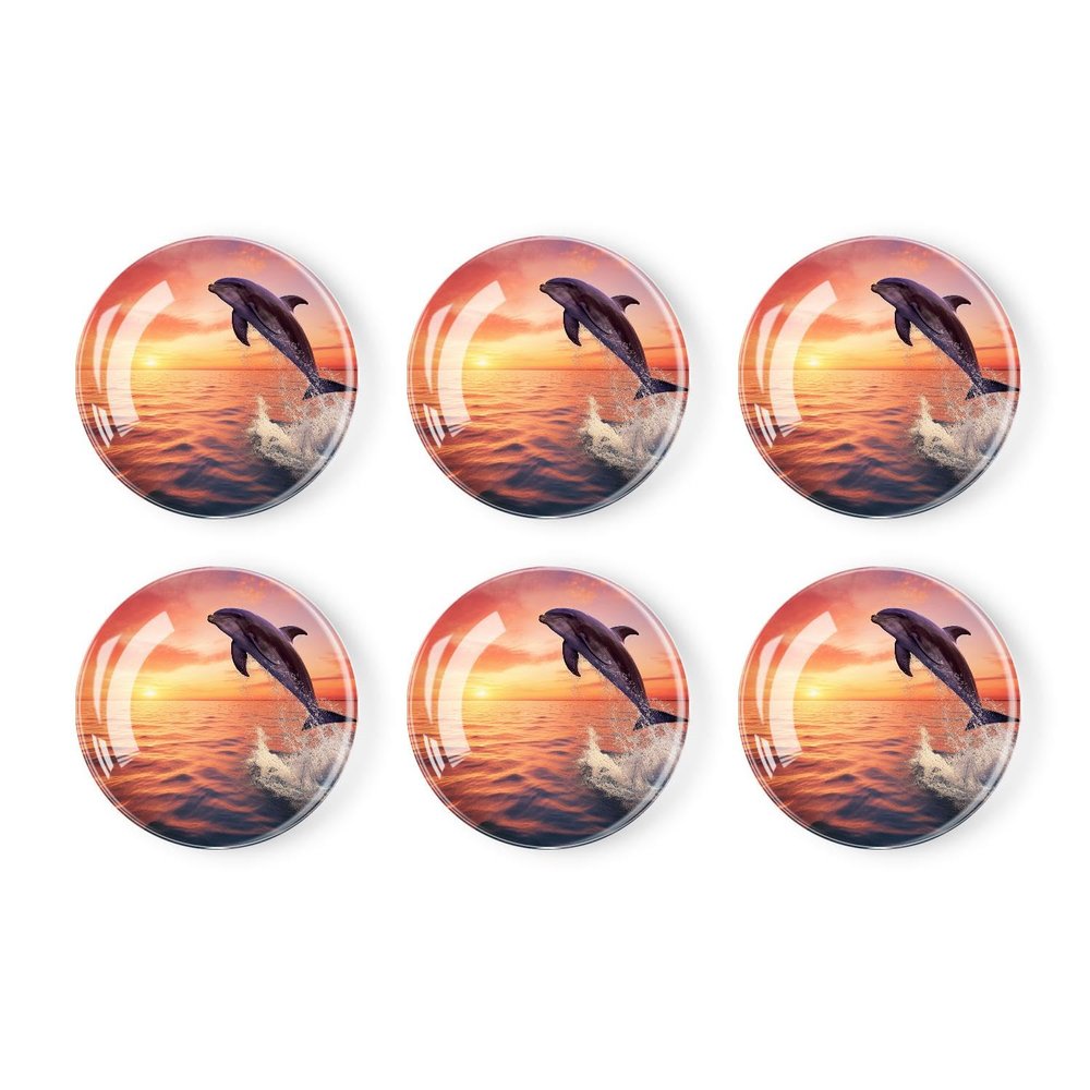 6 Pieces Fridge Magnets Refrigerator Glass Decorative Crystal Magnets for Kitchen Office Whiteboard,Beautiful Dolphin Sunset Ocean Sea Picture