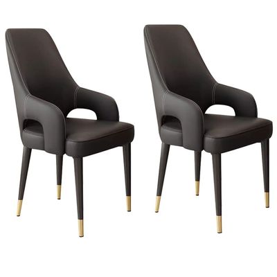 AYARNA Cat Claw Leather Dining Chairs Set of 2 Kitchen Living Room Lounge Counter Chairs Household Desk Chair Sturdy Metal Legs(Black)