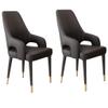 AYARNA Cat Claw Leather Dining Chairs Set of 2 Kitchen Living Room Lounge Counter Chairs Household Desk Chair Sturdy Metal Legs(Black) view 1