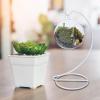 Frogued Modern Minimalist Stand Style Decor Ornament Holder for Glass Balls Spiral Design Iron Hanging Rack Air Plant Terrarium Wedding Home Office Garden White, X-Large view 2