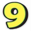 Magnetic Number 9 Sign 10" x 16" Yellow with Green Border - Pack of 1 view 1