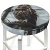 Dwrepo Round Bar Stool Covers Owl on Telephone Pole Stool Covers Round Bar Stool Seat Covers Cushion with Elastic Bands Washable Stretch Stool Chair Cover for Bar Kitchen Dining Room, 14 inch, Black view 4