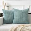 Kevin Textile Throw Pillow Covers Soft Corduroy Decorative Set of 2 Boho Striped Pillow Covers Pillowcases Farmhouse Home Decor for Couch Bed Sofa Living Room 16x16 Inch Dusty Green view 1