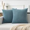 Kevin Textile Throw Pillow Covers Soft Corduroy Decorative Set of 2 Boho Striped Pillow Covers Pillowcases Farmhouse Home Decor for Couch Bed Sofa Living Room 16x16 Inch Blue Grey view 1