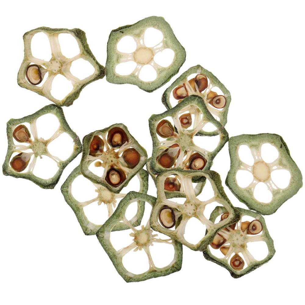 STOBOK 12pcs Natural Dried Okra Slices for Crafts Handmade Pressed Vegetable Material for Scrapbooking Phone Case Home Decor Elegant Crafting Supplies