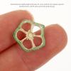 STOBOK 12pcs Natural Dried Okra Slices for Crafts Handmade Pressed Vegetable Material for Scrapbooking Phone Case Home Decor Elegant Crafting Supplies view 3