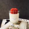 Succulent Candle, Handmade Organic Soy Wax Scented Candle, Cactus Candle, Birthday Gift, Housewarming Gift, Thank You Gift, Cactus Decor 6 oz (Red) view 1