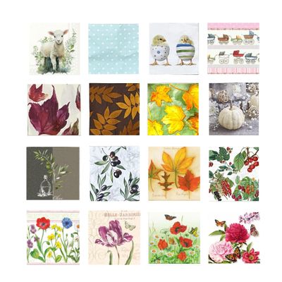 16-ct Assorted Floral Napkins for Decoupage a Variety of Flower Animal Fruit Leaf Designs for Spring Easter Fall Winter Decorative Paper Pretty Beautiful Unique, 1 per style 5x5 Cocktail