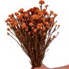 17 Inches Natural Dried Millet Flower Bouquet for Decor, 22-25 Stems Home and Wedding Decoration (Orange) view 1