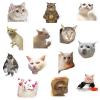 Lovely Funny Fridge Magnets Cat Meme Fasteners on Home& Kitchen; Applicable on Refrigerator, Car, Office Cabinets, Dishwasher and Whiteboard The Most Interesting Birthday Gift (13 Pieces) view 1